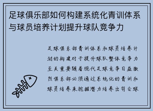 足球俱乐部如何构建系统化青训体系与球员培养计划提升球队竞争力