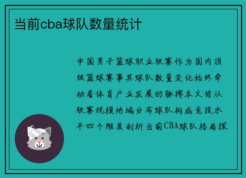 当前cba球队数量统计